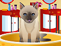 Petz Fashion upang i-play sa online