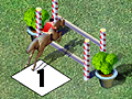 Horse Ipakita Jumping upang i-play sa online