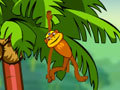 Spider Monkey upang i-play sa online