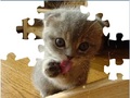 Cute Cat Puzzle upang i-play sa online