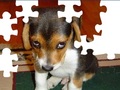 Cute Dog Puzzle upang i-play sa online