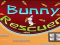 Bunny Rescuer upang i-play sa online