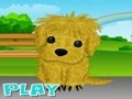 Puppy Kailangan ng May-ari upang i-play sa online