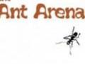 Ants Arena upang i-play sa online