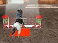 Equestrian 3D upang i-play sa online