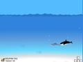 Dolphin Hunt upang i-play sa online