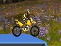 Hillblazer FMX upang i-play sa online