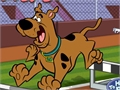 Scooby Doo - steeplechase upang i-play sa online